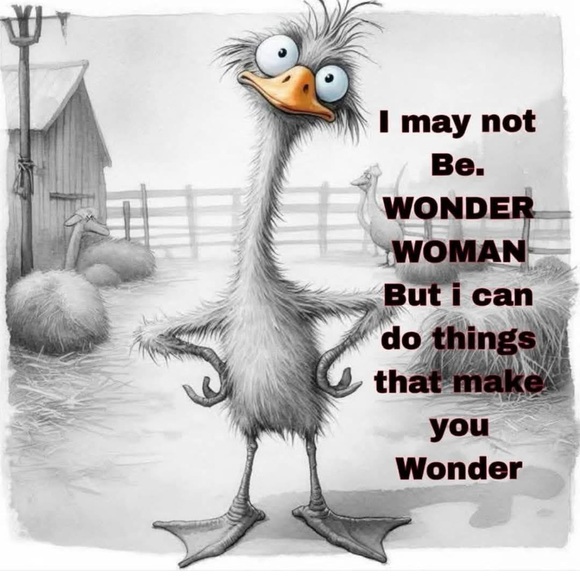 Meet your Posher, Violanda - Picture 1 of 7